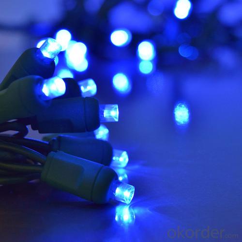 Black Wire 5mm Wide Angle Concave Light Strings Outdoor Best Led Christmas Llights System 1