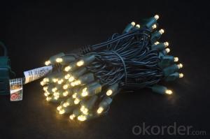 LED Christmas Light String 100 Warm White Wide Angle (5mm Concave) Lights