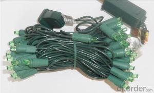5mm Wide-Angle 50 Blue LED String / Green wire