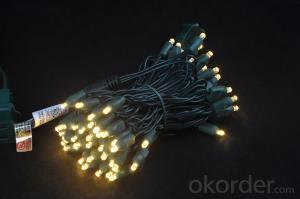 Festive Decorative LED Light String/Waterproof Outdoor Christmas Led Lights