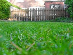 Outdoor Garden Used Artificial Grass 2017 New