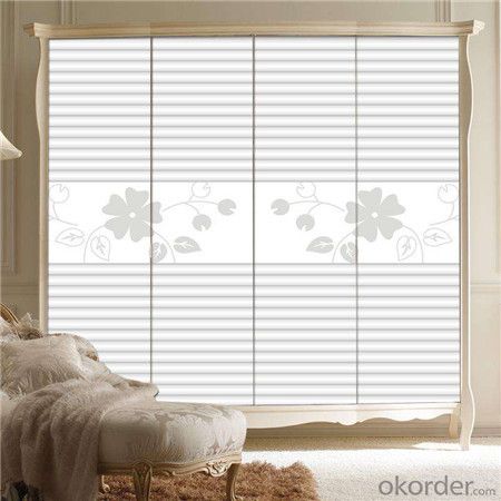 Sunscreen Motorized Sun Window Patio Blinds System 1