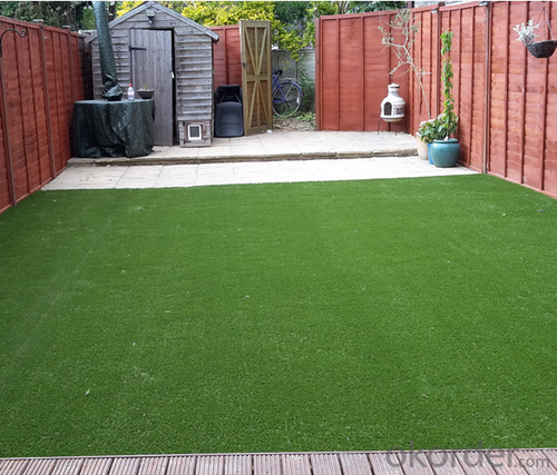 Landscaping Grass Carpet Decorative Artificial Grass  from CNBM System 1