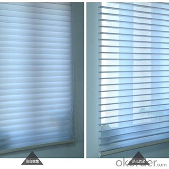 RollerType Shangri-la Window Blinds Door Blinds System 1