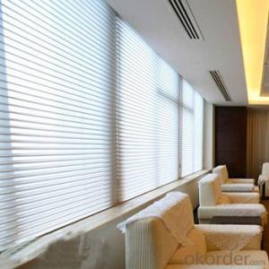 luxury lace shangri-la zebra roller blind fabric window blind for window System 1