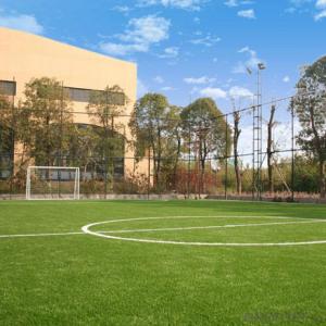 Artificial Grass for Soccer with CE from CNBM System 1