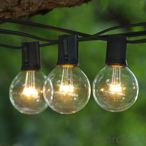 G50 Patio Globe String Lights for Holiady Decoration System 1