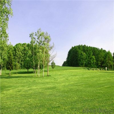 Outdoor Garden Used 35mm Height and V Shape Artificial Grass System 1