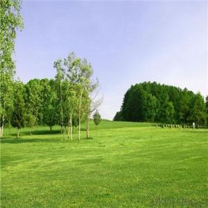 Outdoor Garden Used 35mm Height and V Shape Artificial Grass