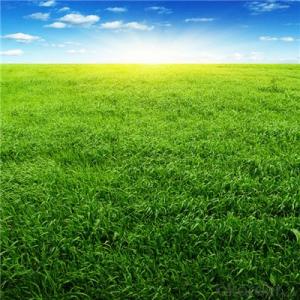 New Natural Landscaping Grass Artificial Grass for Garden System 1