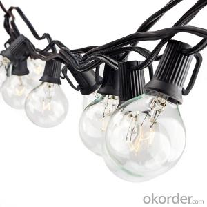 25FT G40 Globe String Light with 25 Clear Bulbs,Patio Outdoor Light String System 1