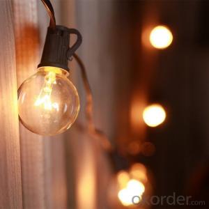 Globe String Lights with G40 Bulbs UL Listed with 25 G40 Bulbs Werproof End to End