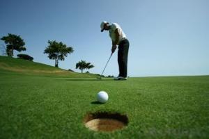 Artificial lawn or turf of golf course