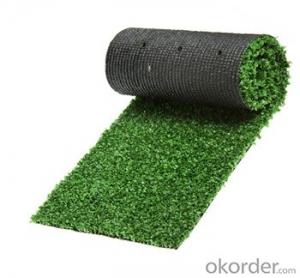China manufacturer wholesale outdoor grass carpet with high quality System 1