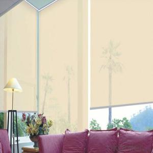 Customized Blackout Blind Sunscreen Blind Shutter Curtain System 1