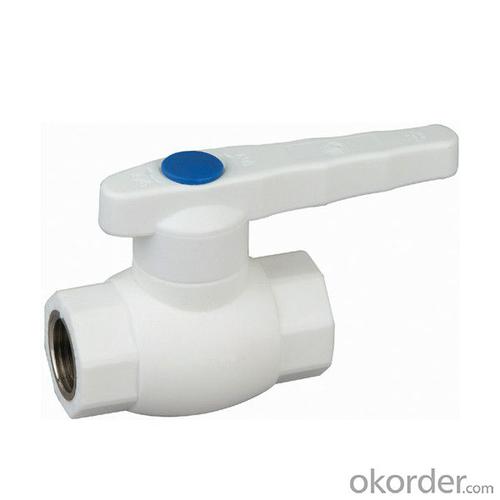 3/4 BSP PPR Plastic Pipe and Fittings for Household System 1