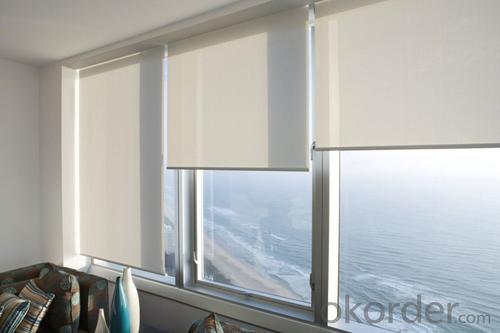 double sided  roller blind with waterproof somfy and motorized System 1