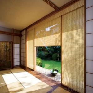 Bamboo Blinds Outdoor Vertical Roller Blinds for Home Decoration System 1