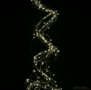 Copper Wire String Led  Lights for Outdoor and Indoor Holiday Or Wedding Celebration System 1