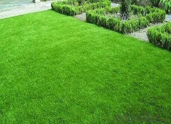 30mm outdoor cheap carpet grass artificial turf lawn for garden System 1