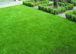 30mm outdoor cheap carpet grass artificial turf lawn for garden System 1