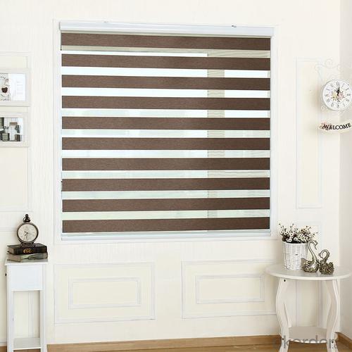 Plastic Zebra  Blind Curtain for  Window System 1