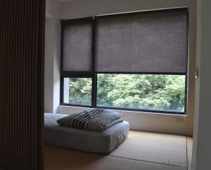 Two-color Series Shade Curtains Simple PVC Blind Fabric System 1