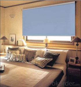 motorized waterproof loaded roller blinds with magic screen