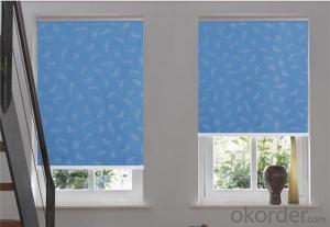 Roller  Blinds  Curtain  Romantic  Style for Window Decor System 1