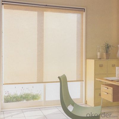 Roller  Blinds  Curtain for Window Decor with Competitve Price System 1