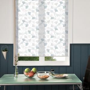 Roller  Blinds  Curtain for Window Decor