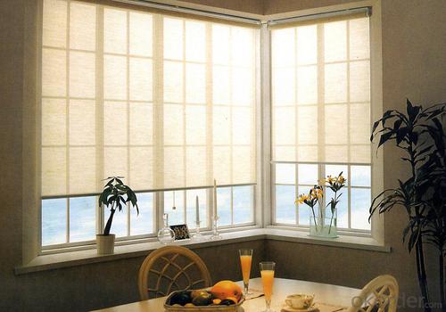 European Blackout Sunscreen Fabric Curtain Blinds Electric Roller Blinds System 1