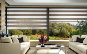 Zebra Blinds with Fashionable Design for Home Center Blinds