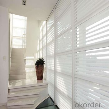 Roller Zebra Blinds with Plain Style for Light Adjust System 1