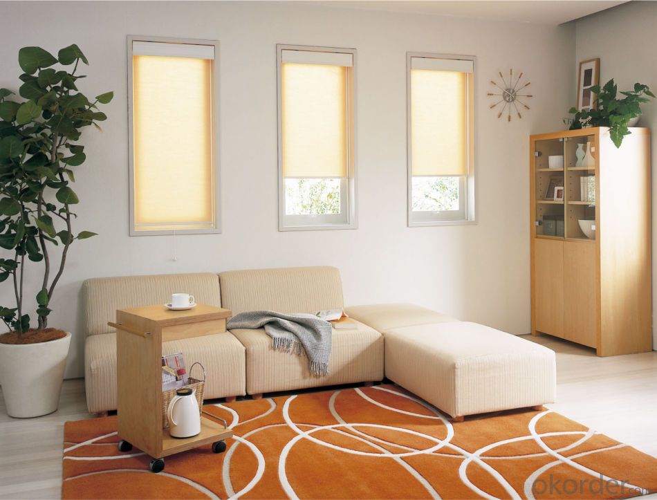 One Way Vision Roller Blinds M otorised Sunscreen