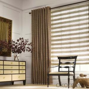 Zebra Window Shades/Zebra Blind Roller Blinds/Zebra Curtains System 1