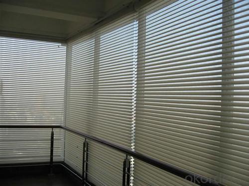 Zebra Blinds Electric for Window with Fairly Reasonable Price System 1