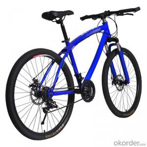 Mountain Bike With 26 Inch Mechanical Disc Brake Variable Speed High Carbon Steel Frame MTB Bicycle
