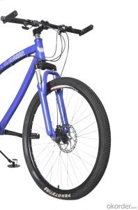 Mountain Bike With 26 Inch Mechanical Disc Brake Variable Speed High Carbon Steel Frame MTB Bicycle