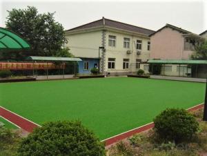 Multifunctional artificial grass and turf System 1