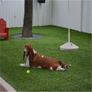 High quality soft surface artificial grass for dog carpet