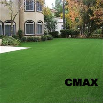 Perfect Artificial Turf for Pet Runs/Pet Training Field System 1