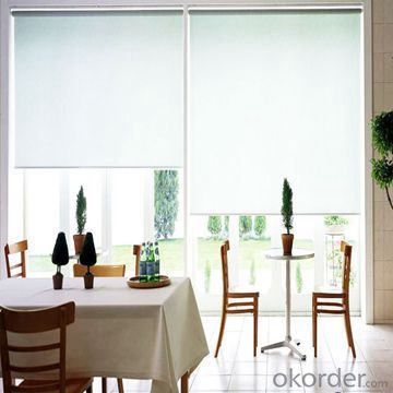 Zebra fabric roller blinds with cheap price System 1