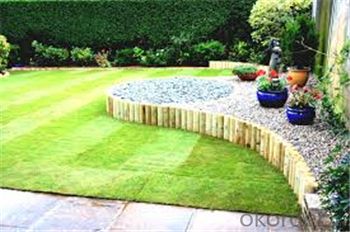 Garden Decorative Artificial Grass for Viewing System 1