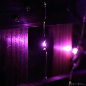 Purpule Copper Wire Led Light String for Outdoor Indoor Stage Holiday PartyDecoration