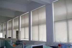 cheap window roller blinds with high quality System 1