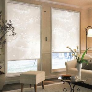 Roller Blind Curtains for Indoor  Window System 1