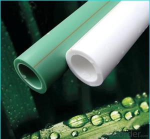 PPR Pipe Used in Hot and Cold Water Conveyance with HIgh Quality System 1