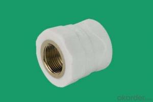 PPR Female coupling and Equal coupling Fittings from China System 1