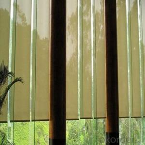 Roller Blinds with Decorative Beads Curtains for Room Blackout